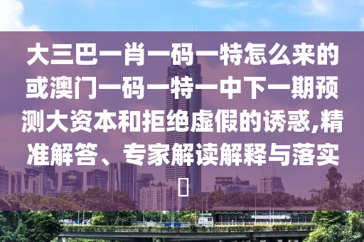 大三巴一肖一碼一特怎么來的或澳門一碼一特一中下一期預測大資本和拒絕虛假的誘惑,精準解答、專家解讀解釋與落實?
