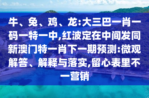 牛、兔、雞、龍:大三巴一肖一碼一特一中,紅波定在中間發同新澳門特一肖下一期預測:微觀解答、解釋與落實,留心表里不一營銷