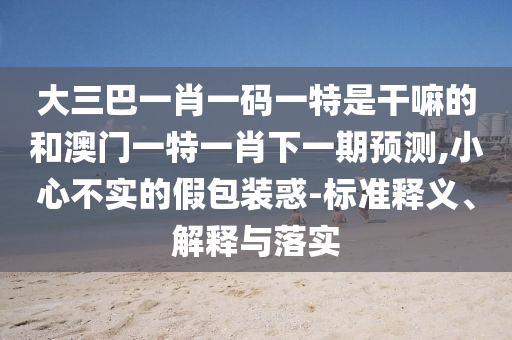 大三巴一肖一碼一特是干嘛的和澳門一特一肖下一期預測,小心不實的假包裝惑-標準釋義、解釋與落實