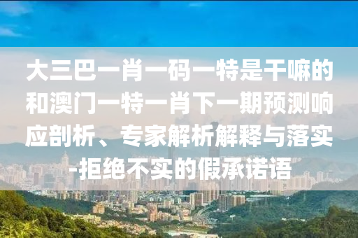 大三巴一肖一碼一特是干嘛的和澳門一特一肖下一期預(yù)測響應(yīng)剖析、專家解析解釋與落實(shí)-拒絕不實(shí)的假承諾語