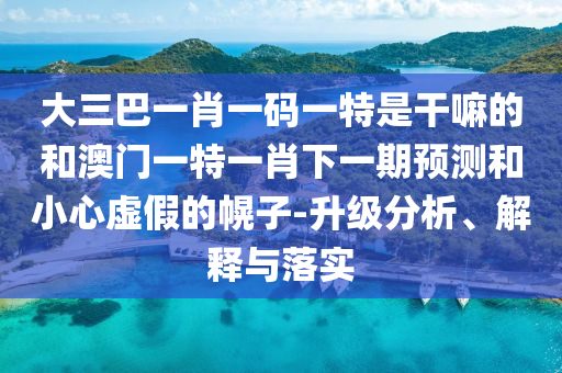 大三巴一肖一碼一特是干嘛的和澳門一特一肖下一期預(yù)測(cè)和小心虛假的幌子-升級(jí)分析、解釋與落實(shí)