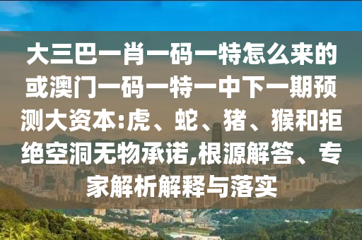 大三巴一肖一碼一特怎么來的或澳門一碼一特一中下一期預測大資本:虎、蛇、豬、猴和拒絕空洞無物承諾,根源解答、專家解析解釋與落實