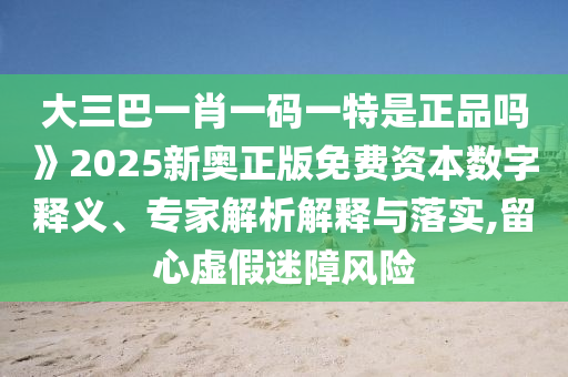 大三巴一肖一碼一特是正品嗎》2025新奧正版免費資本數字釋義、專家解析解釋與落實,留心虛假迷障風險