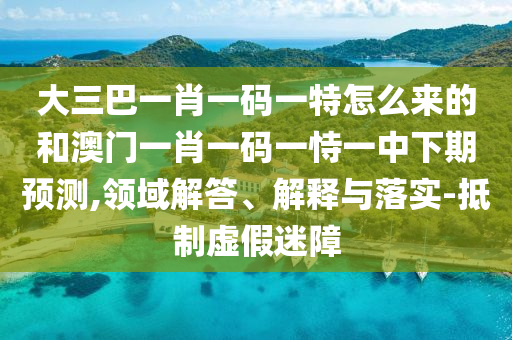 大三巴一肖一碼一特怎么來的和澳門一肖一碼一恃一中下期預測,領域解答、解釋與落實-抵制虛假迷障